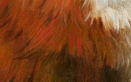 Quick Brown Fox Texture 2
