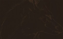 Quick Brown Fox Illustration